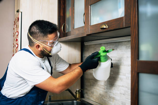 Best Affordable Pest Control Services  in Dixon, KY