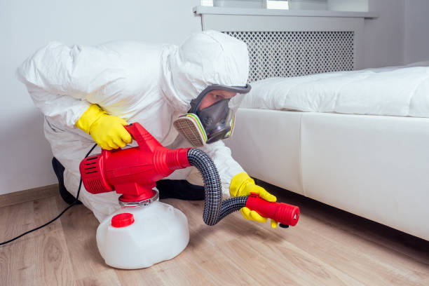 Best Wasp Removal Services  in Dixon, KY