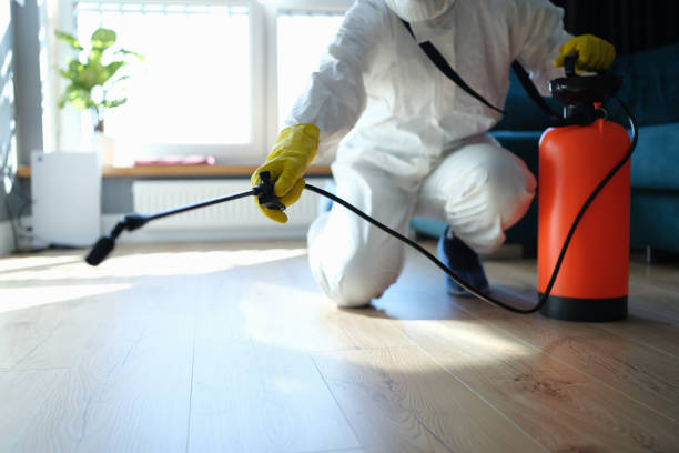 Best Insect Control  in Dixon, KY