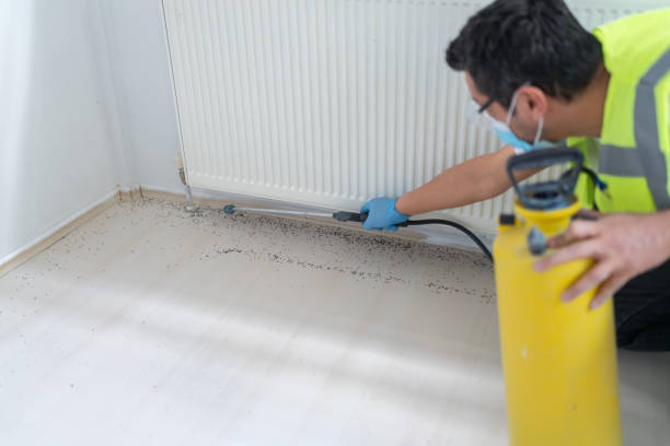 Best Affordable Pest Control Services  in Dixon, KY